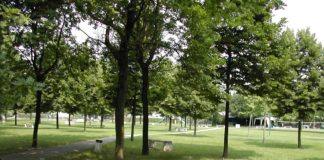 Al via domani pomeriggio l’iniziativa “Nonni digitali” al parco Primieri di Fusignano