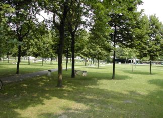 Al via domani pomeriggio l’iniziativa “Nonni digitali” al parco Primieri di Fusignano