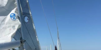 Successo per la seconda Veleggiata delle Rose