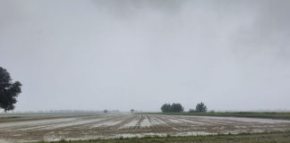 Ordine degli Architetti, una riflessione sulla recente alluvione e sugli strumenti per affrontare queste situazioni in futuro
