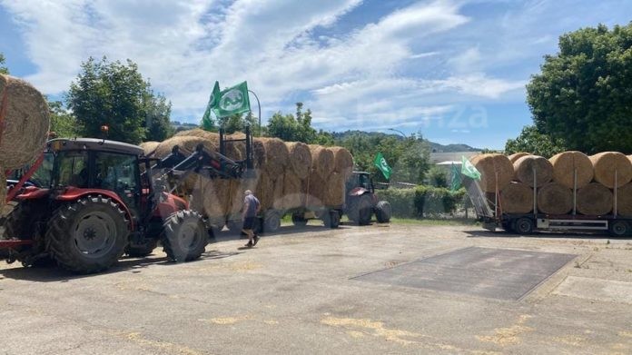 2023 06 19 cia romagna cia padova fieno e paglia x la romagna