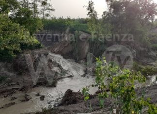 Una grande breccia nell’argine del Lamone a Formellino