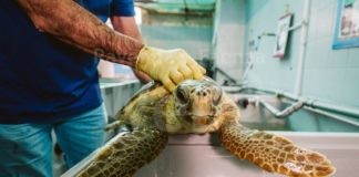 Una visita al Centro Sperimentale per la Tutela degli Habitat a Marina di Ravenna