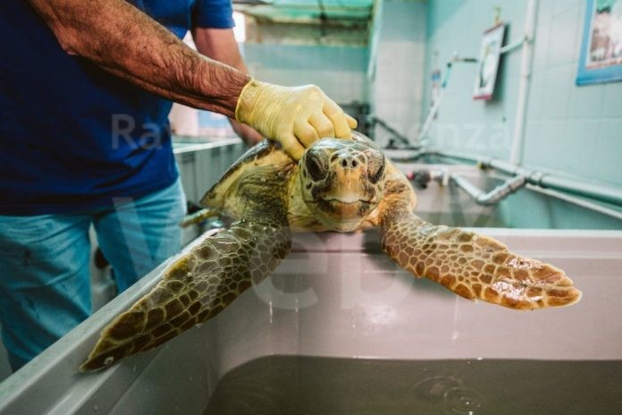 345245297_2212897642230308_4803298787834958546_n