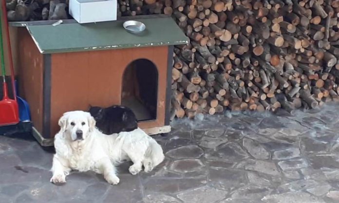 353744804_173962022086671_1520370983748727842_n