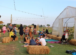 Estate al Podere Ortinsieme di Russi