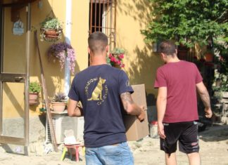 In soccorso di cani e gatti 1000 pasti e trattamenti veterinari, la Fondazione Cave Canem nei territori alluvionati