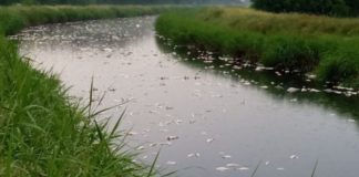 Legambiente Ravenna: Quali analisi nei canali e nel Destra Reno?