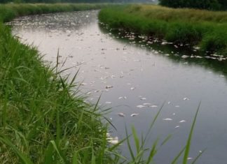 Post alluvione, i risultati delle analisi di Arpae sui corsi d’acqua