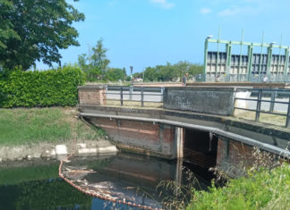 Consorzio di bonifica: precisazioni su moria di pesci e stato del canale di bonifica in destra di Reno