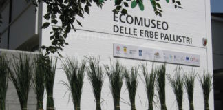 Comune di Bagnacavallo – Ecomuseo chiuso per lavori da sabato 1 luglio