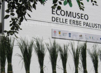 Comune di Bagnacavallo – Ecomuseo chiuso per lavori da sabato 1 luglio