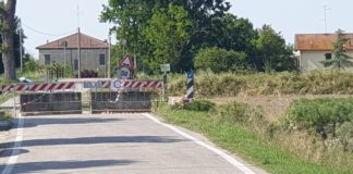 Guerra (NCI): Storie di ponti