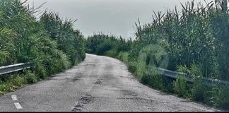 Guerra (NcI): Visibilità insostenibile via Argine Destro Montone