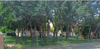 Bertolino (NCI): Parco pubblico via Bassano del grappa, due passi indietro