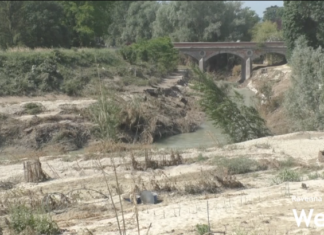 Pulizia dei fiumi e degli argini e casse di espansione: le richieste del consiglio comunale