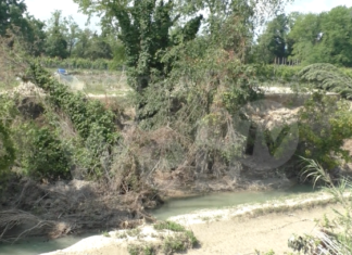 “Non riusciamo a bloccare l’abbattimento di un albero, figuriamoci la pulizia dei fiumi”
