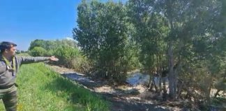 Coldiretti: Fiumi, manutenzione e fauna. A proposito di fake news…