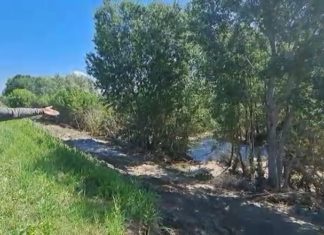 Coldiretti: Fiumi, manutenzione e fauna. A proposito di fake news…