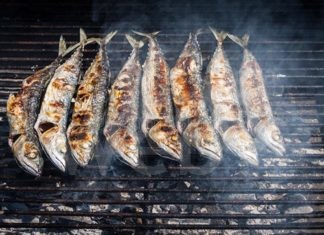 Nel weekend sagra del pesce azzurro a Marina di Ravenna