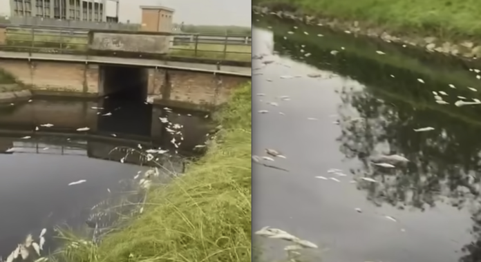 Schermata 2023-06-06 alle 10.39.18