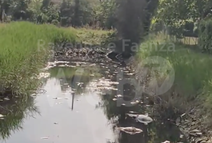 Schermata 2023-06-06 alle 11.05.30