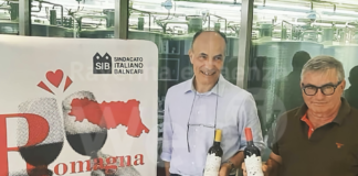 “Romagna Nostra”, le spiagge in aiuto della viticoltura romagnola