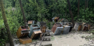 “Riparti Romagna”, il progetto del Rotary Firenze per il nostro territorio