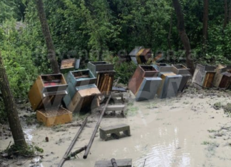 “Riparti Romagna”, il progetto del Rotary Firenze per il nostro territorio