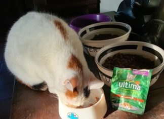 Ultima Petfood dona oltre 50mila pasti ad ENPA da destinare all’emergenza alluvioni