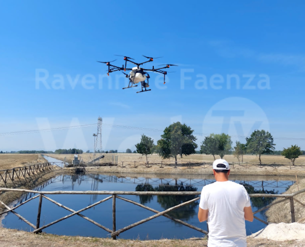 Via Palazzone - via Borse