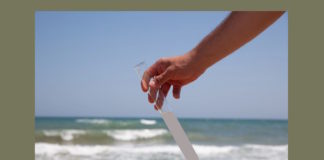 Ravenna in Comune, balneazione: più controllo e meglio