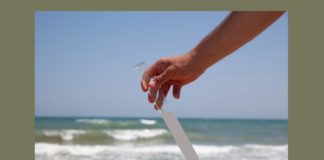 Ravenna in Comune: Un sorso di mare invece dei controlli