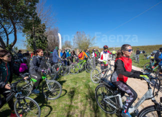 Una domenica in compagnia di Lugo Music Festival: una biciclettata tra gli alberi monumentali e una proiezione cinematografica