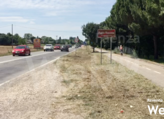 Per il Clima-Fuori dal Fossile: Insopportabile la distruzione delle piante che costeggiavano la ciclabile per Punta Marina