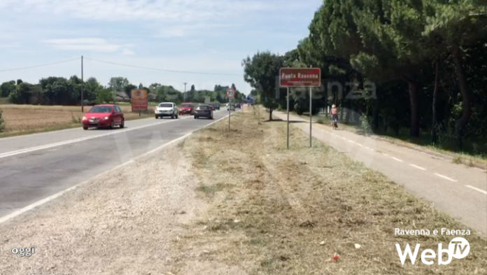 canale molinetto ciclabile piante distrutte