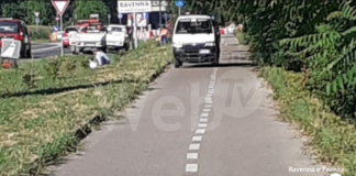 Ciclabile di Punta Marina: nuove piante messe a dimora dopo l’errore degli abbattimenti