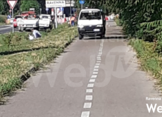 Ciclabile di Punta Marina: nuove piante messe a dimora dopo l’errore degli abbattimenti