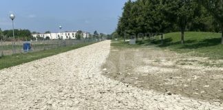 Maltempo, Cassani: “Aiutiamo la squadra ciclistica Faentina, rischia di chiudere”