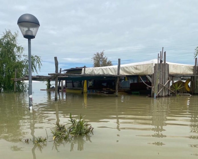 d7b47c7f-9aaa-4d6d-82d4-ece6c45a50a3