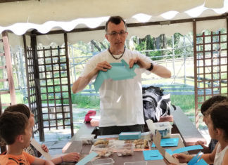 Lido di Dante, venerdì mattina il primo appuntamento stagionale con il “Conchigliamo Summer Lab”