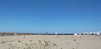 Area di protezione del fratino. Italia Nostra contro Viva Ravenna: “La deposizione può avvenire fino a luglio”