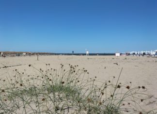 Area di protezione del fratino. Italia Nostra contro Viva Ravenna: “La deposizione può avvenire fino a luglio”