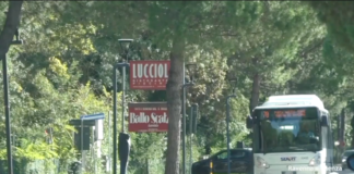 Navetto mare e parcheggi scambiatori: confermata la gratuità anche per l’estate 2024