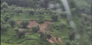 Alluvione, Antolini (Ordine dei Geologi): Il 62% della popolazione risiede in aree a pericolosità media. Abbiamo bisogno di una pianificazione territoriale