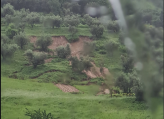 Alluvione, Antolini (Ordine dei Geologi): Il 62% della popolazione risiede in aree a pericolosità media. Abbiamo bisogno di una pianificazione territoriale