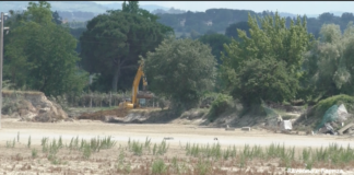 Iniziati i lavori per chiudere la breccia nell’argine all’Orto Bertoni