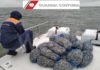 Vigilanza pesca. Guardia Costiera: Oltre 52 000 € di sanzioni irrogate e 750 kg di prodotti ittici sottratti al mercato irregolare