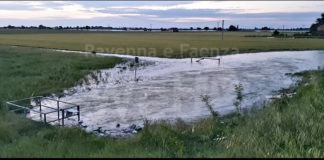 Alluvione. Comitato Cittadino Roncalceci: “Canale Emiliano Romagnolo, che ruolo ha avuto?”