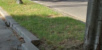 Spadoni (LpRa): La totale disorganizzazione del servizio di manutenzione strade